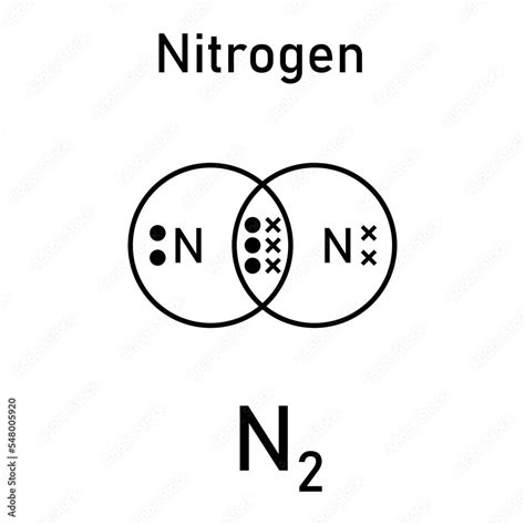 n2 electron dot structure|nitrogen lewis dot structure.
